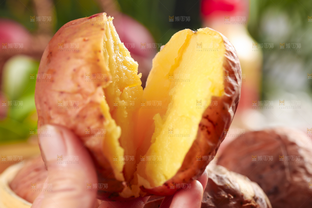 手里拿着红皮土豆
