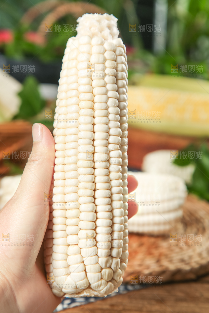 手里拿着白玉米