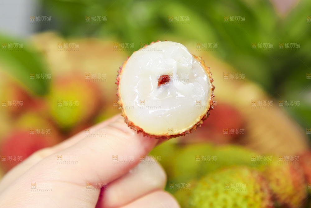 手里拿着妃子笑荔枝