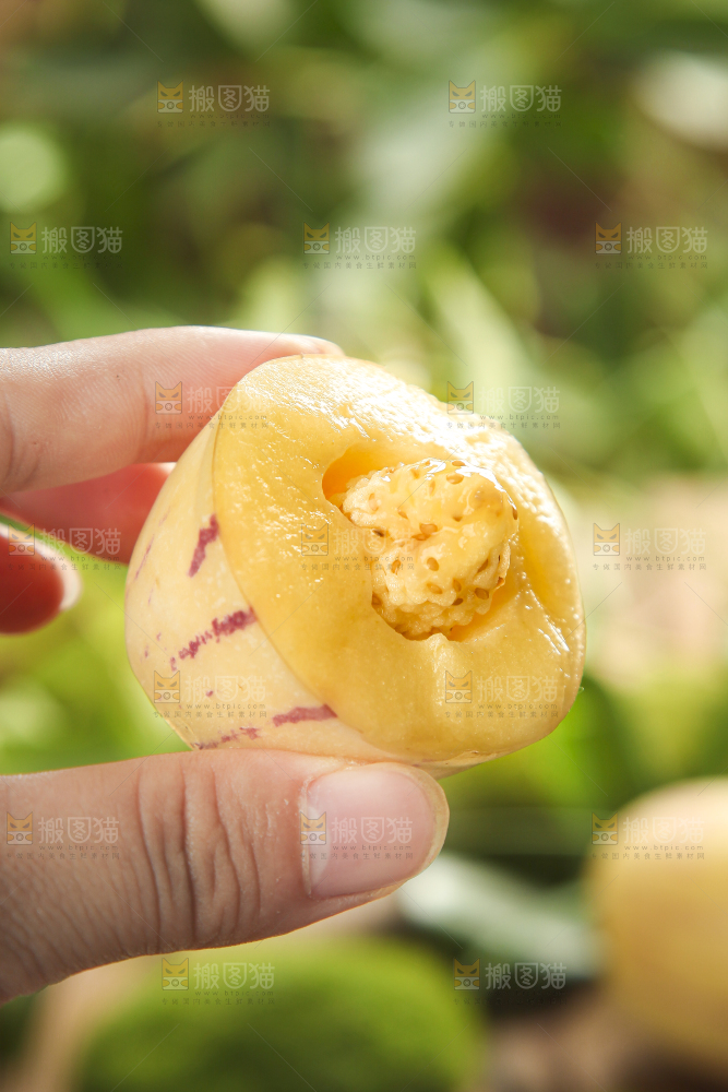 手里拿着人参圆果