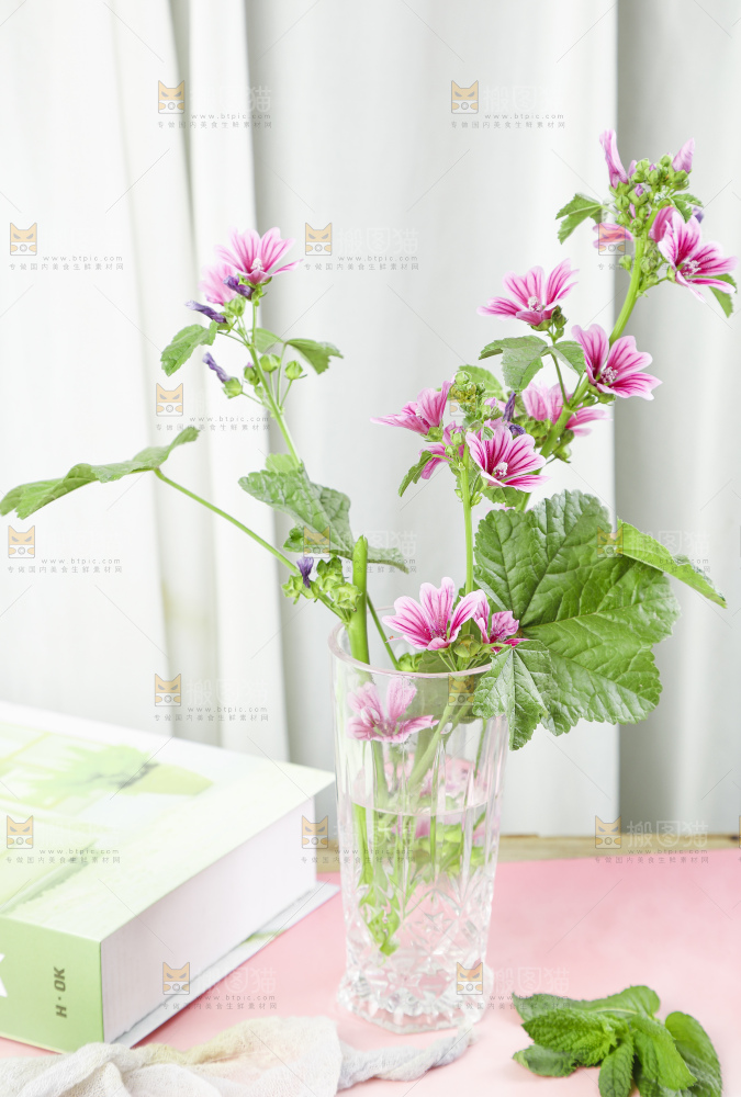 花瓶里插着新鲜花朵