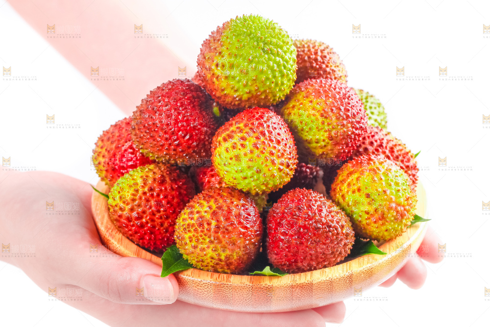 手里捧着妃子荔枝