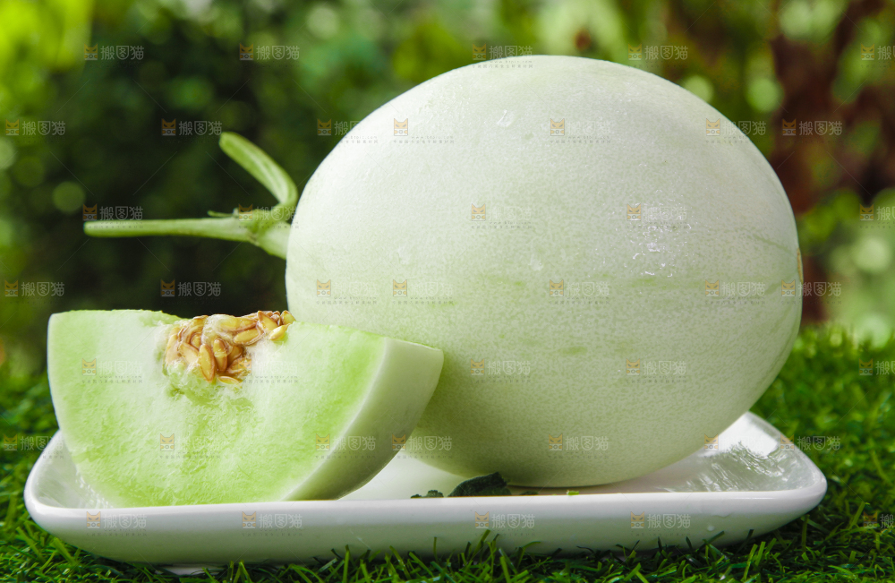 绿草地上摆放着玉菇甜瓜