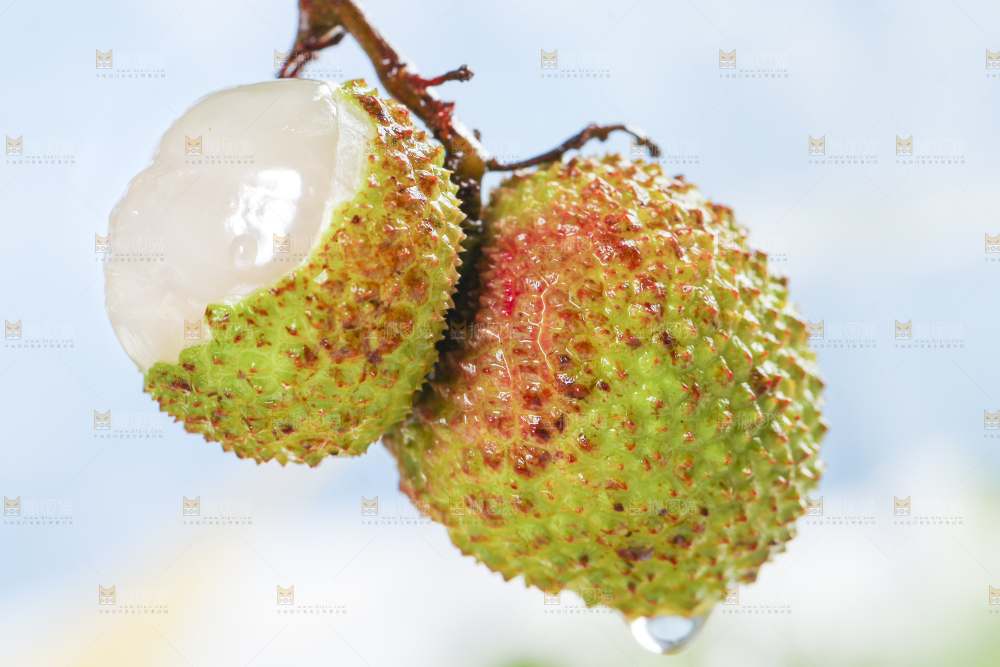 手里拿着海南荔枝
