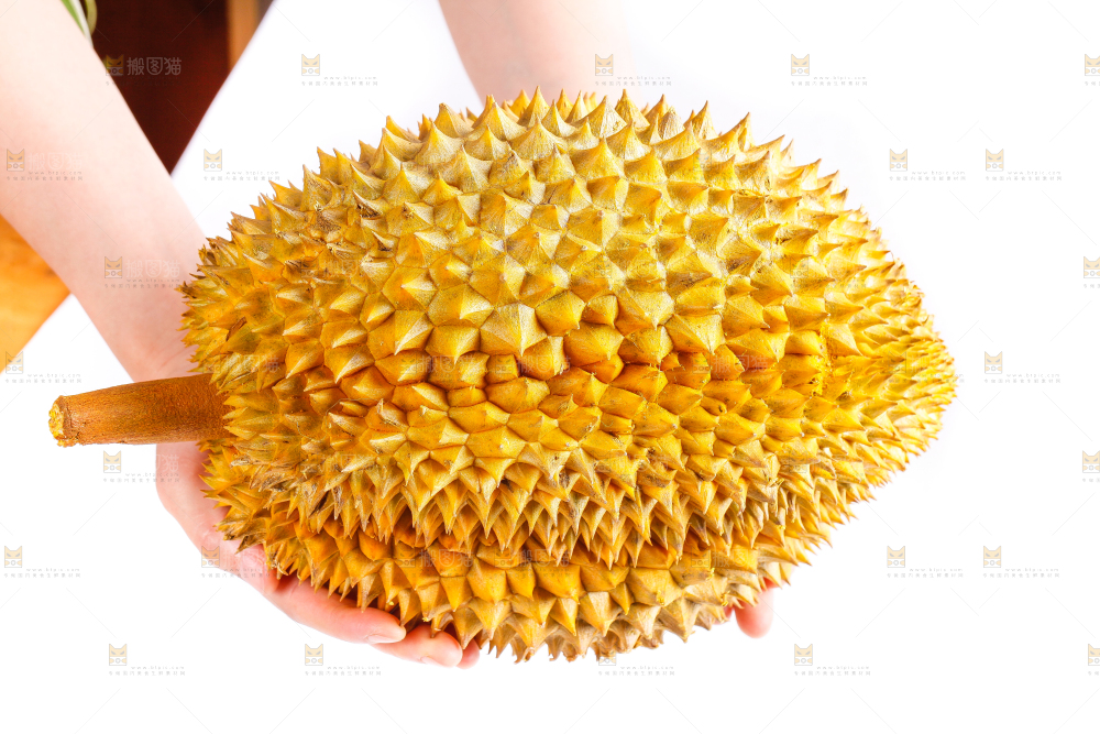 手里拿着榴莲