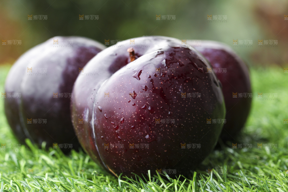 绿草地上摆放着新鲜黑布林