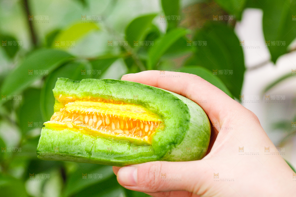 手里拿着羊角蜜