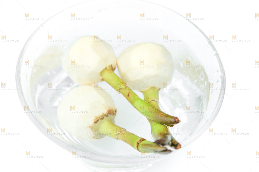 盆里放着茨菇
