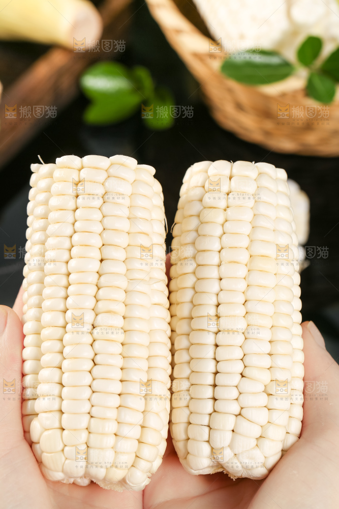 手里拿着甜玉米
