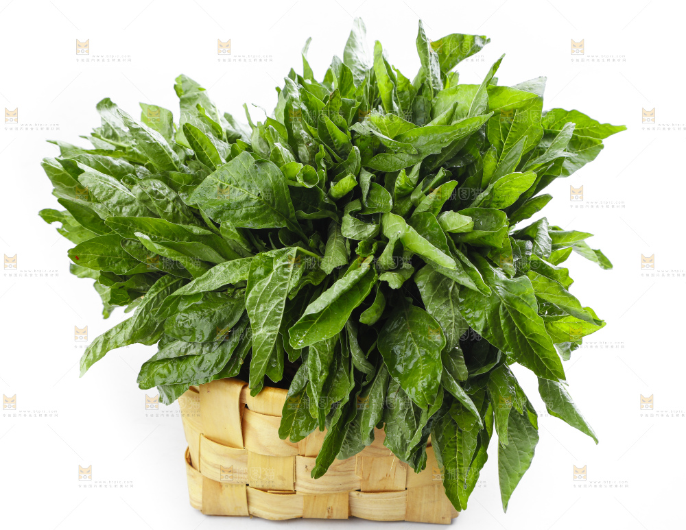 篮子里装着苋菜