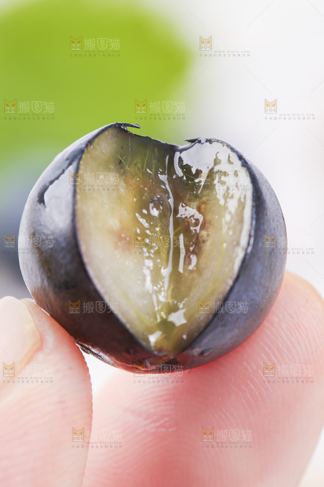 手里拿着蓝莓果