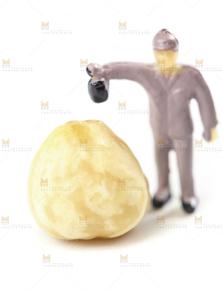 白底上放着榛子仁