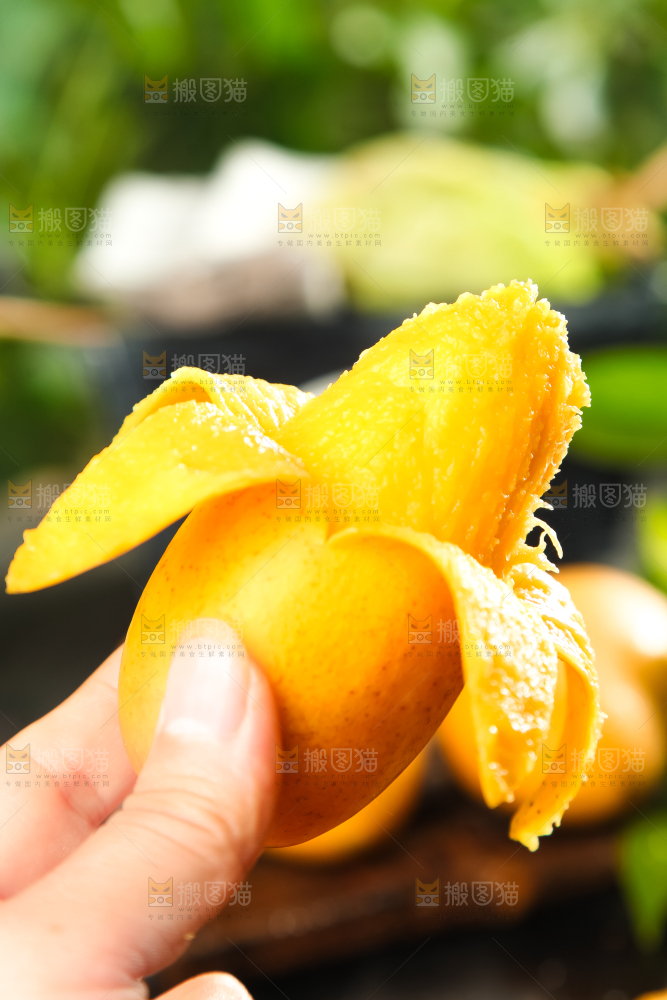 手里拿着小台芒