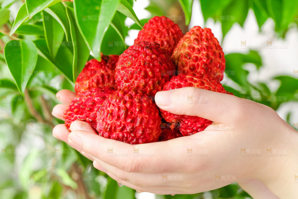 手里捧着一把荔枝