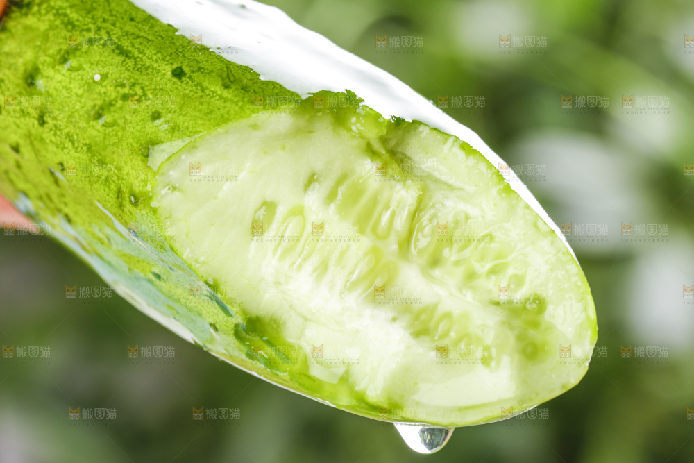 手里拿着青瓜