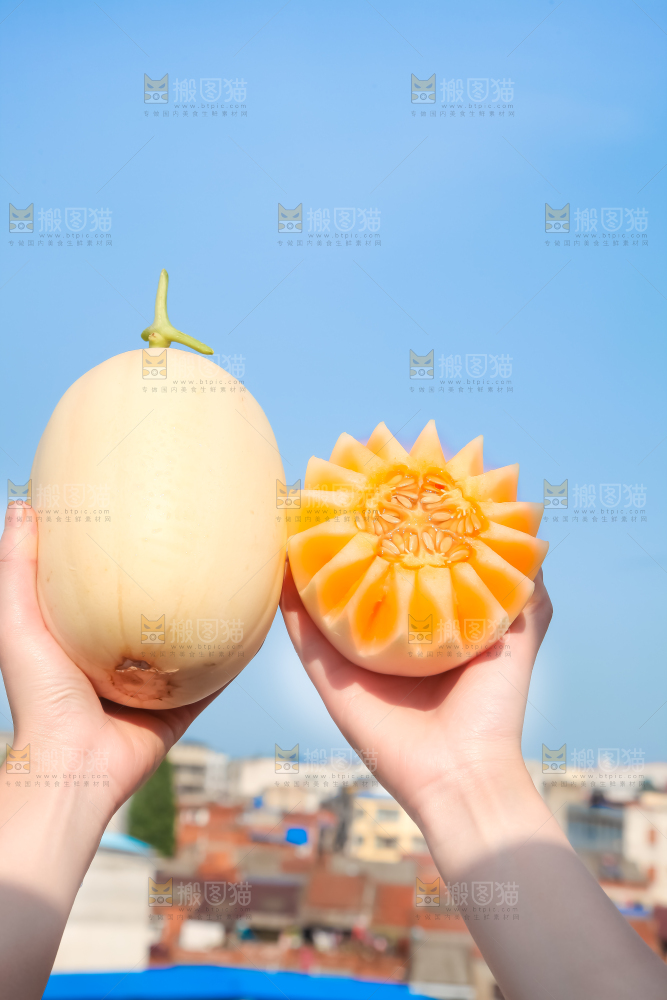 手里拿着东方蜜甜瓜