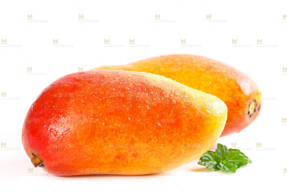 白底上摆放着海南贵妃芒