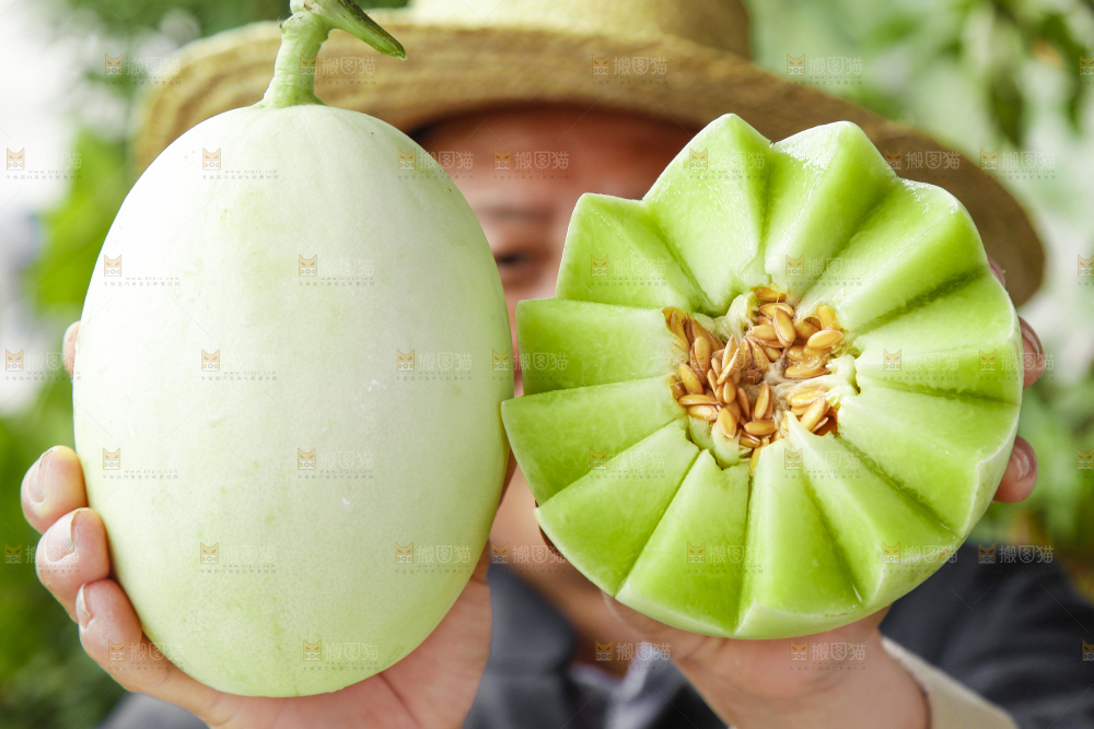 手里拿着玉菇香瓜