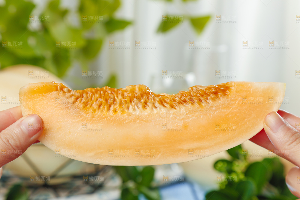手里拿着蜜甜瓜