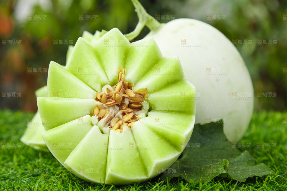 绿草地上摆放着玉菇甜瓜