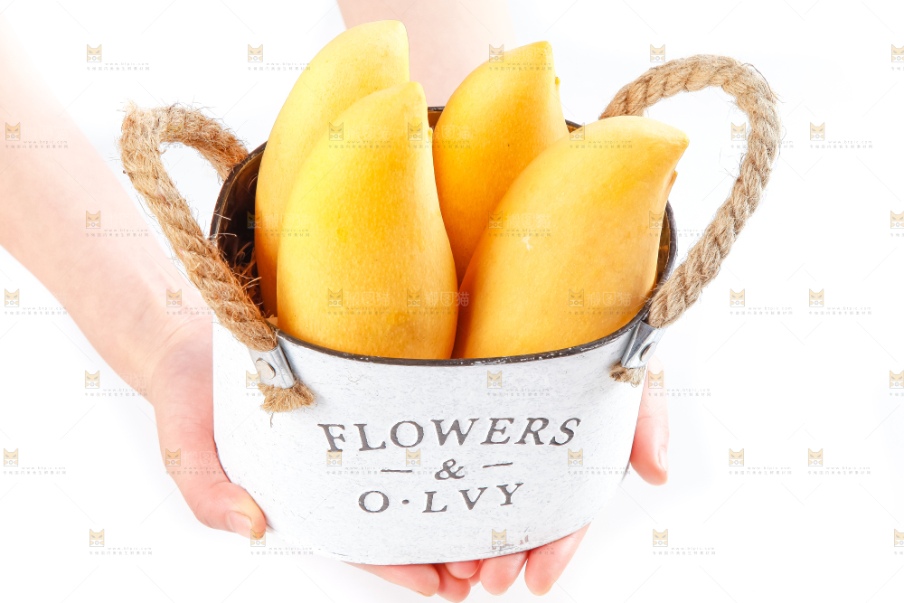 手里拿着缅甸进口鹰嘴芒