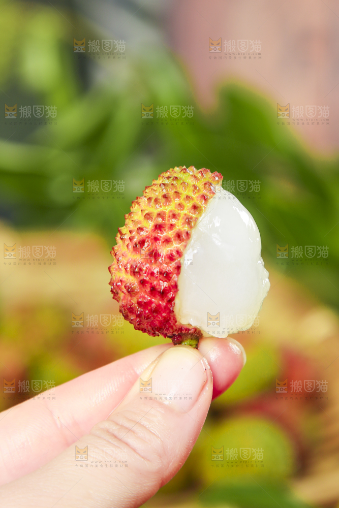 手里拿着妃子笑荔枝