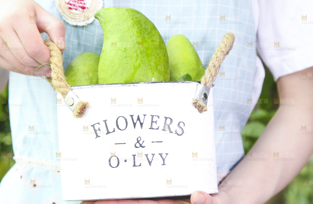 手提篮里装着新鲜鹰嘴芒