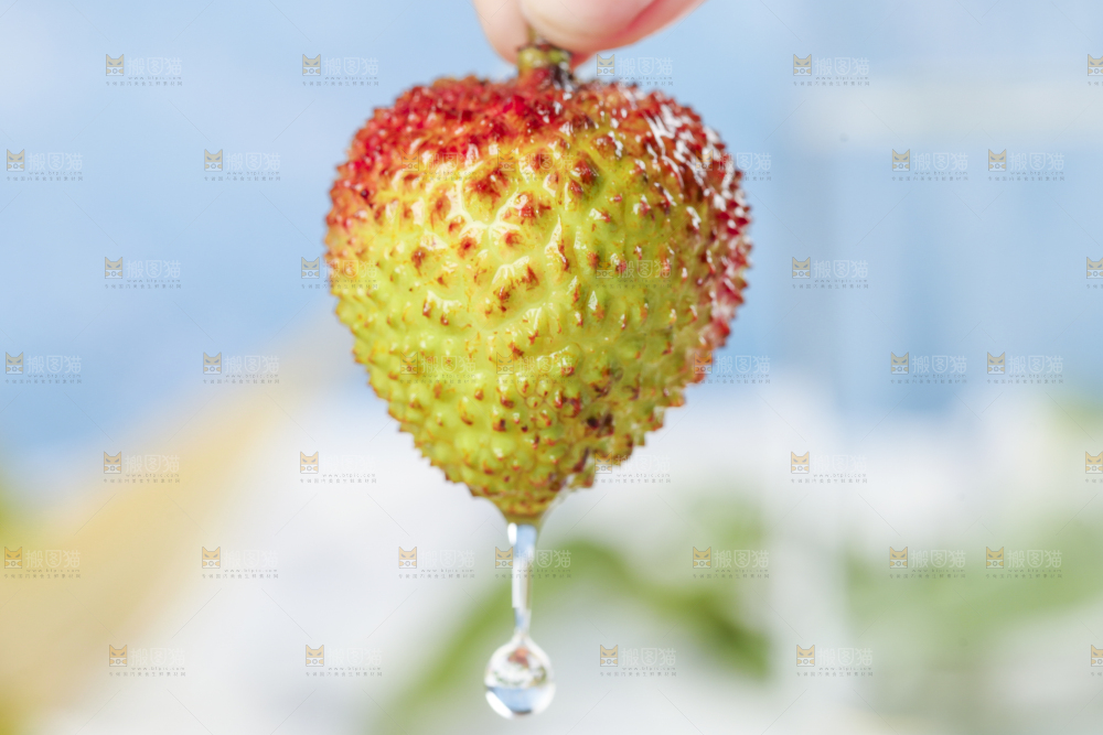 手里拿着海南荔枝