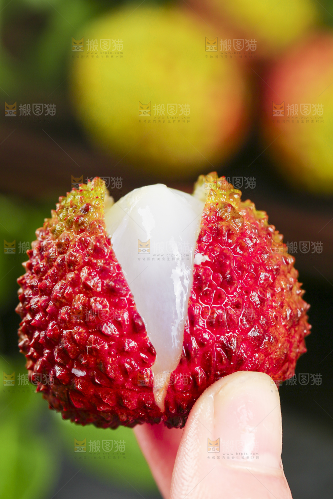妃子笑荔枝