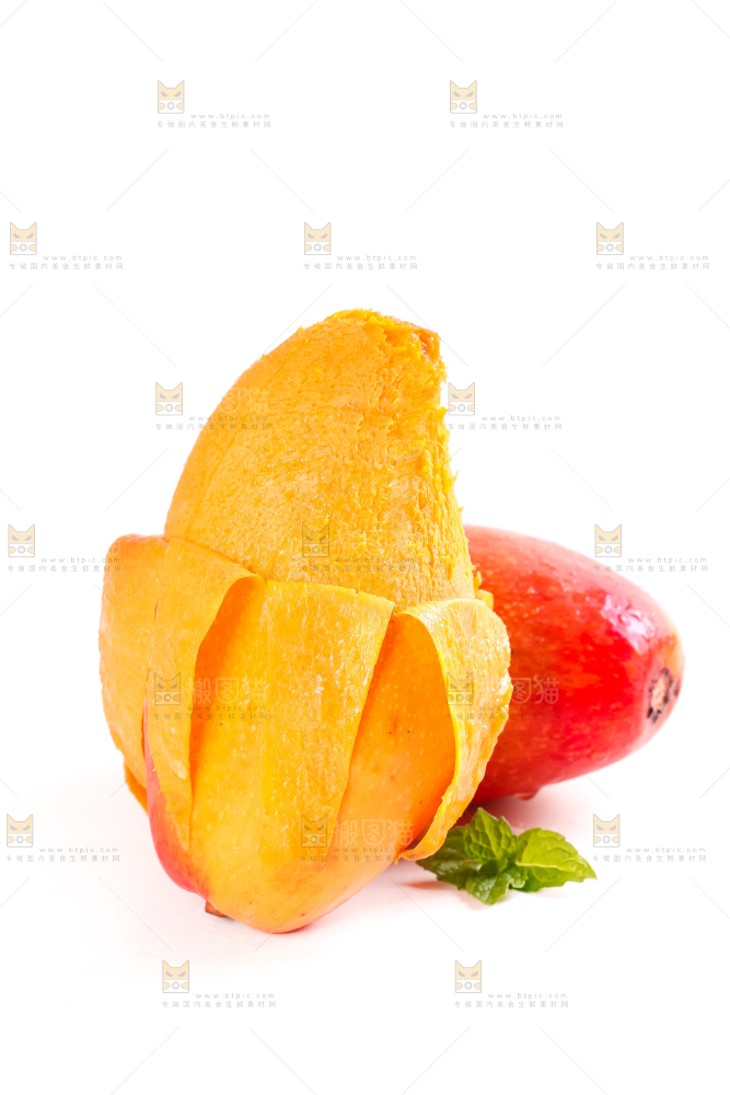 白底上摆放着海南贵妃芒