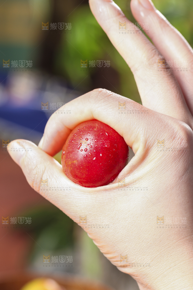 手里拿着脆李子