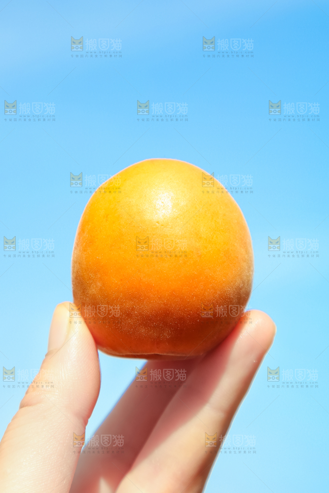 手里拿着黄杏