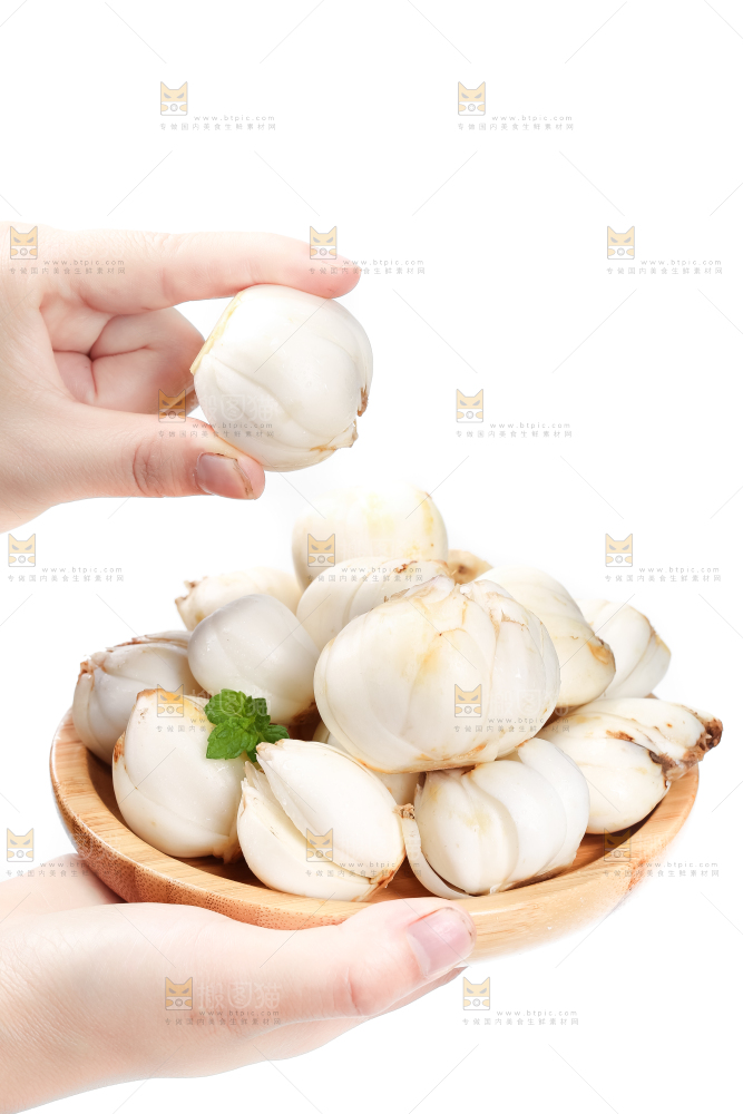 碟子里装着百合