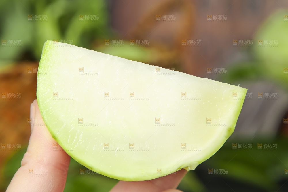 手里拿着苤蓝