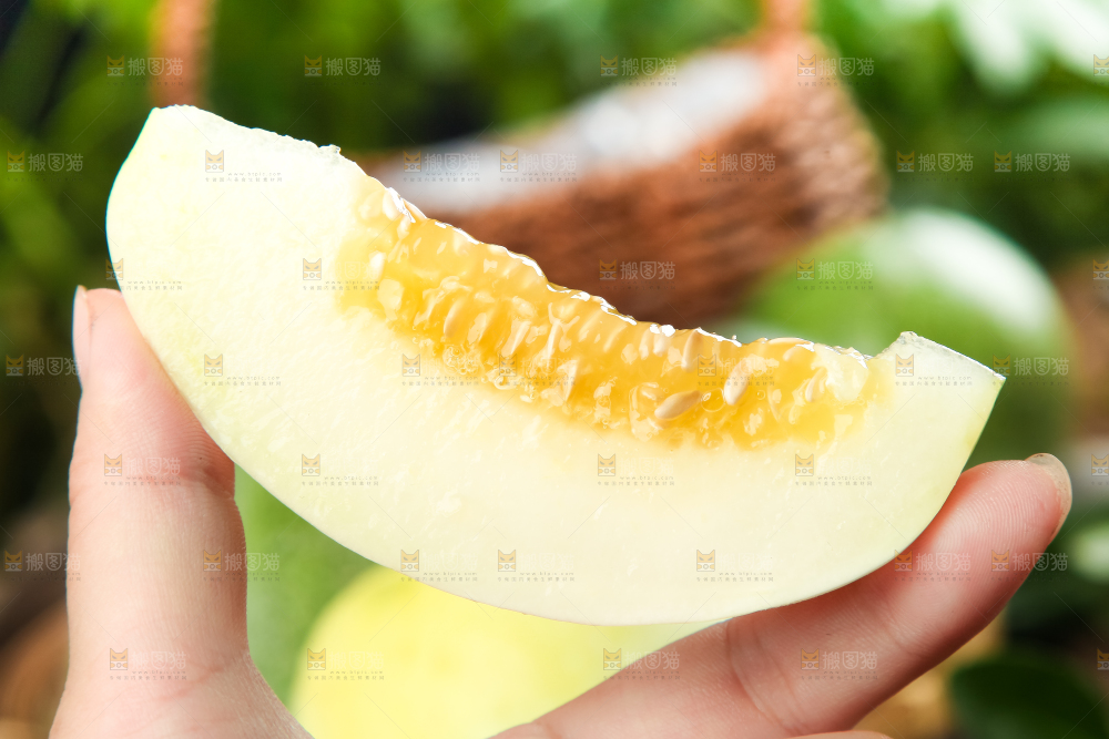 手里拿着阎良甜瓜