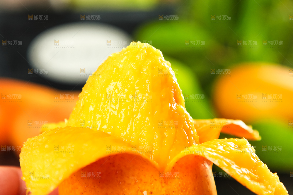 手里拿着小台芒