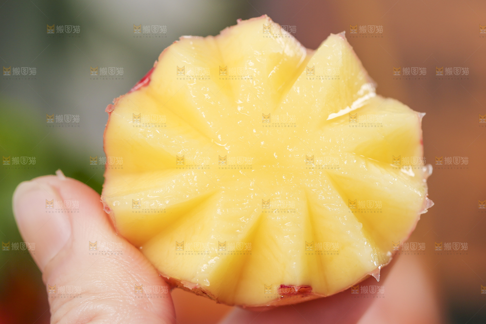 手里拿着红皮土豆