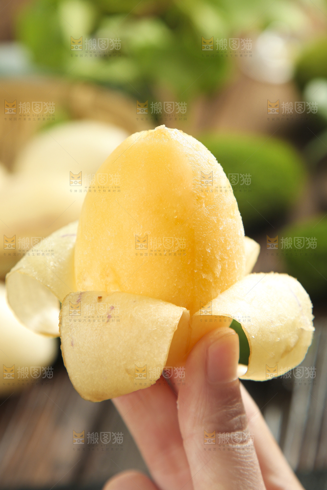手里拿着人参圆果