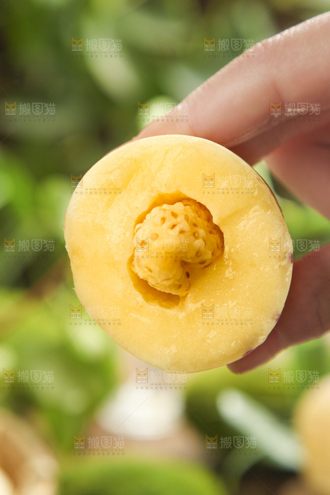 手里拿着人参圆果