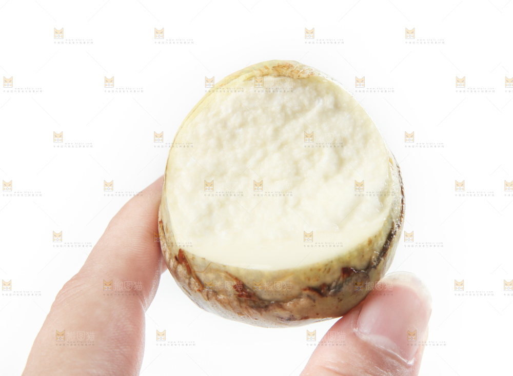 手里拿着慈菇