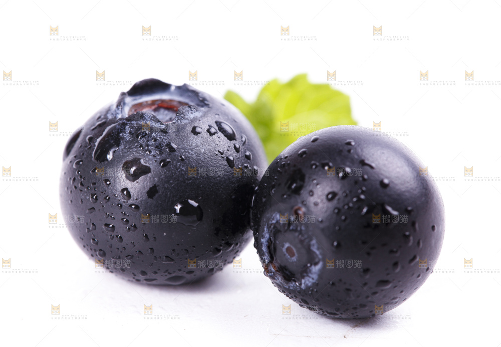白底上摆放着蓝莓果