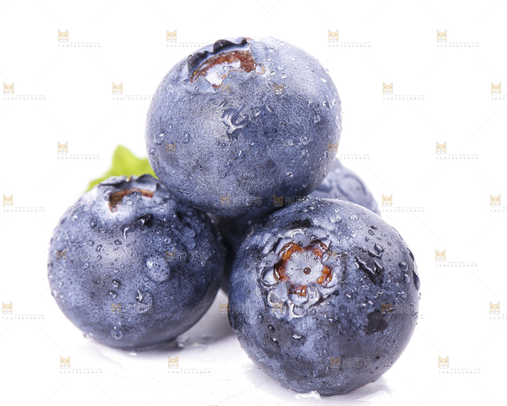 白底上摆放着蓝莓果