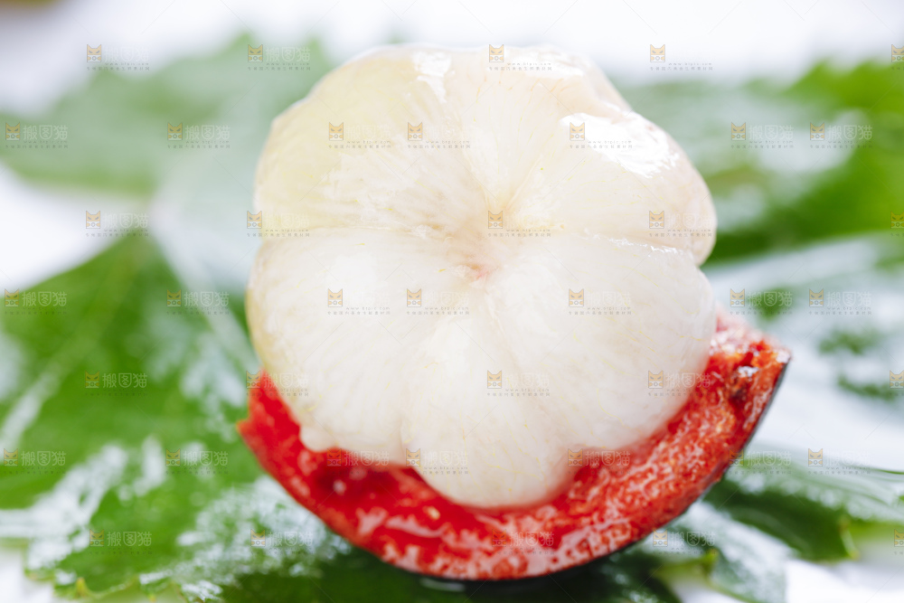 绿叶放着山竹的果肉