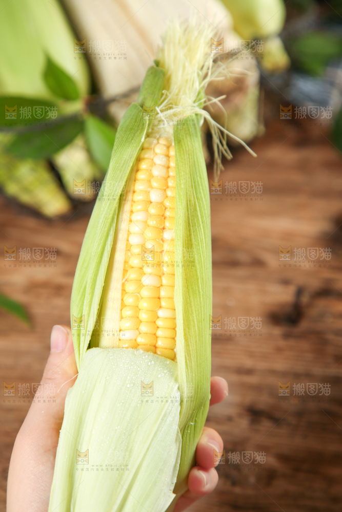 手里拿着水果玉米
