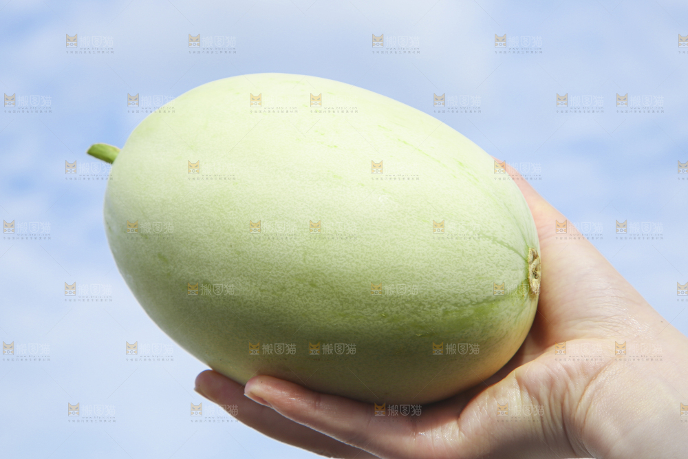 手里拿着新鲜玉菇蜜瓜