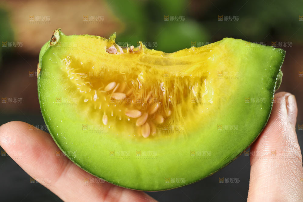 手里拿着绿宝甜瓜