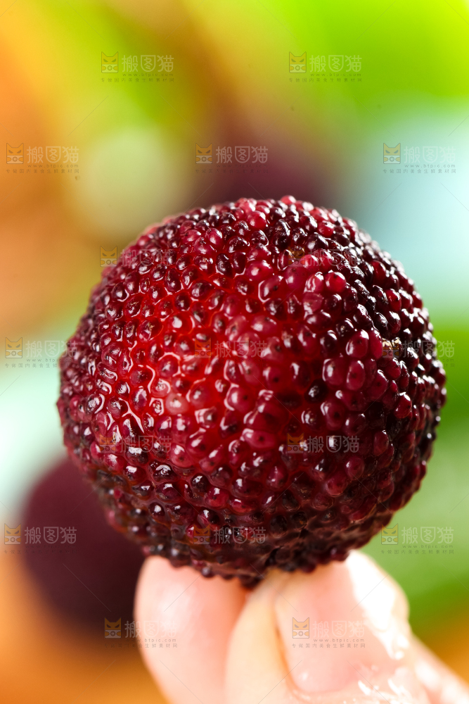 手里拿着杨梅