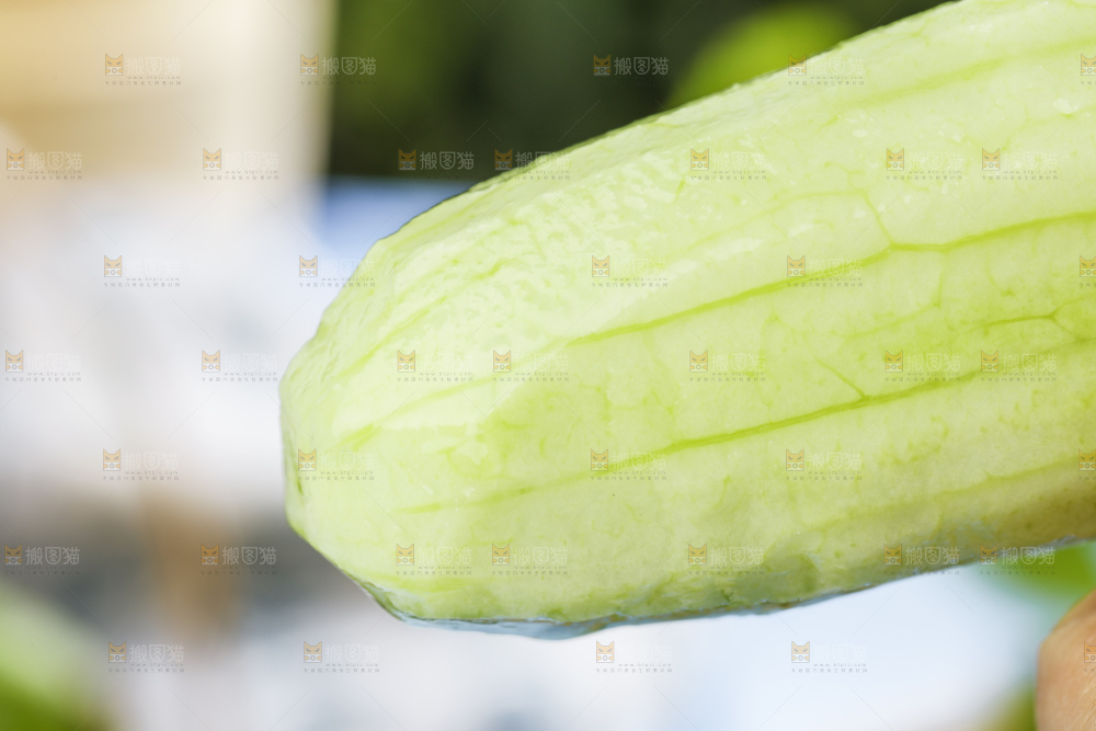手里拿着削了皮的黄瓜