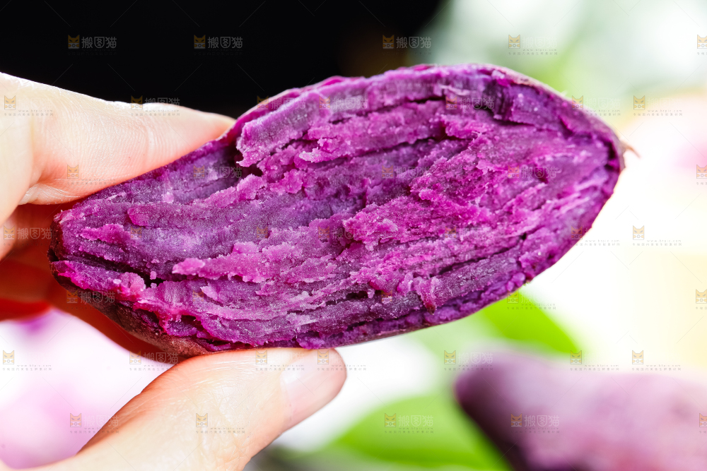 手里拿着紫薯