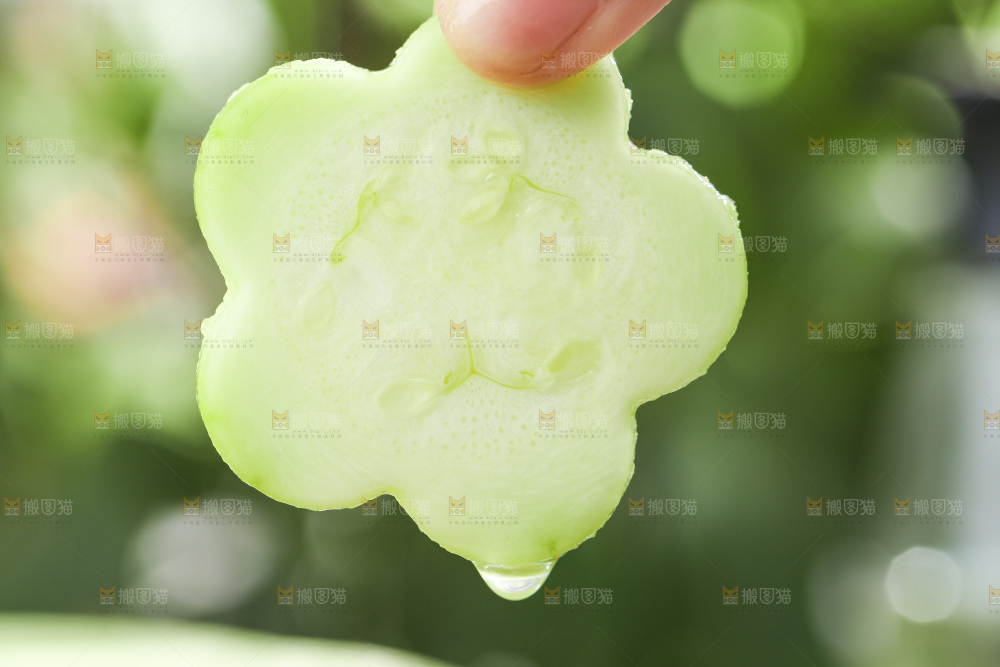 手里拿着嫩茭瓜
